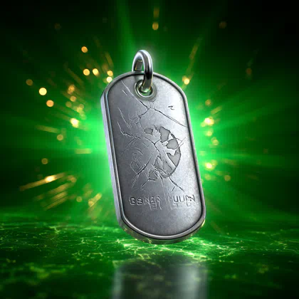 BF6 Dog Tags Boosting