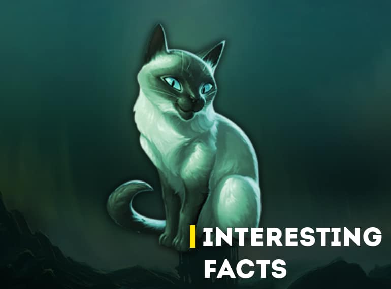 Interesting Facts Wotlk Classic Naxxramas Complete Overview + Loot Table