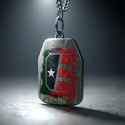 CoD Black Ops 6 Got Your Six Event Carry