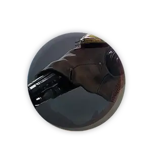 Touch of Malice Destiny 2 Boosting Services - Other Weapons