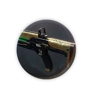 D2 Aishas Care Boost