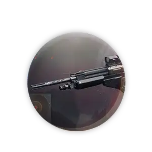 Buy D2 Patron of Lost Causes Carry