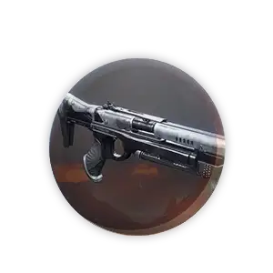 Perfect Paradox Boost Destiny 2