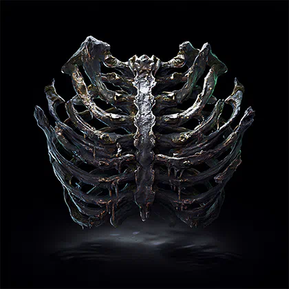 Path of Exile 2 Preserved Rib Carry