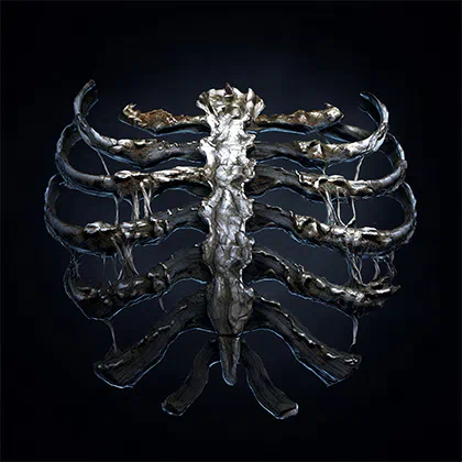 Path of Exile 2 Preserved Rib Farming