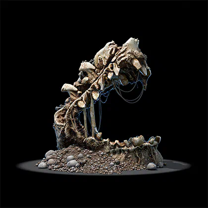 PoE 2 Gnawed Jawbone Farming