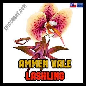Ammen Vale Lashling