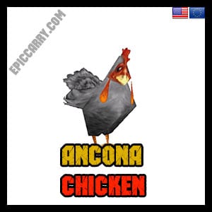 Ancona Chicken