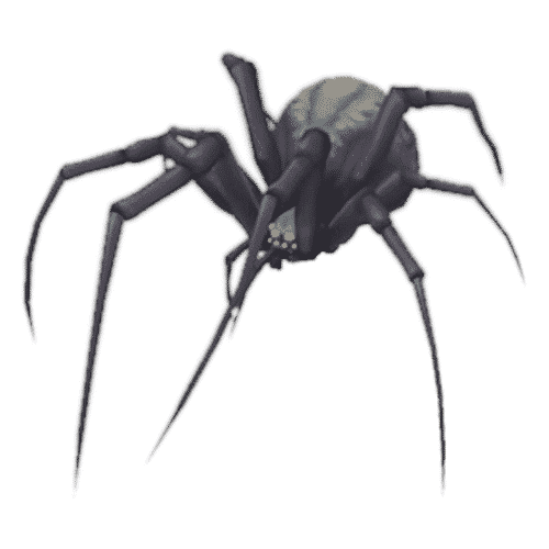 Ash Spiderling