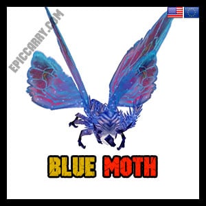 Blue Moth