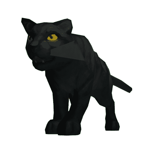 Bombay Cat