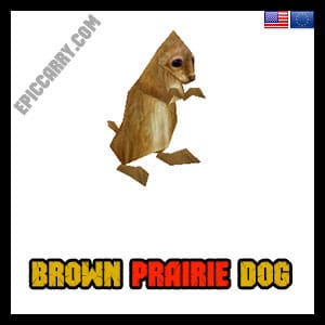 Chiot brun des prairies