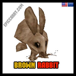 Brown Rabbit