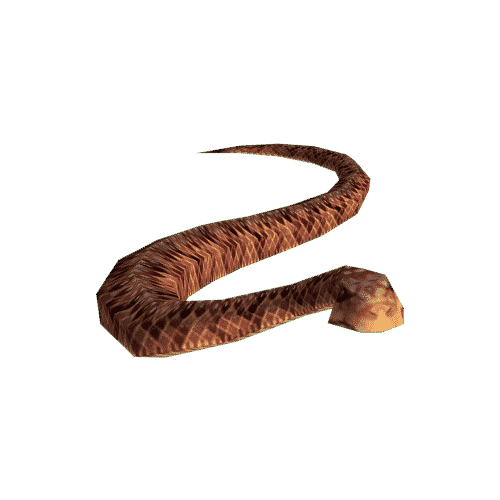 Brown Snake