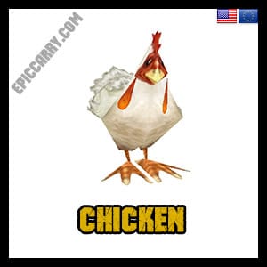Chicken
