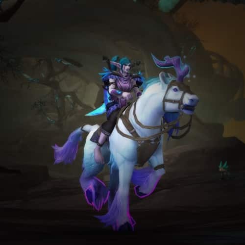 9.1 Starter Bundle - Buy