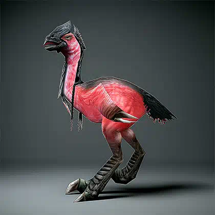 Cheap Swift Lovebird Boosting Service