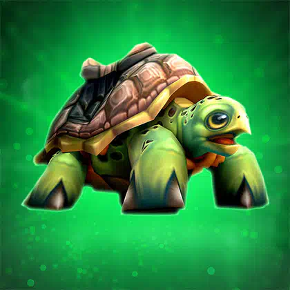 WoW Riding Turtle Boost